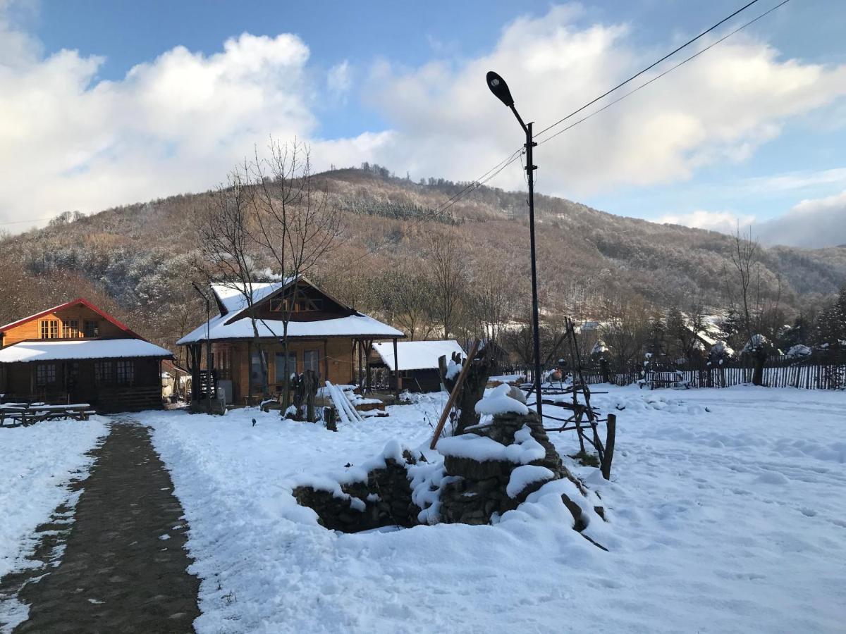 Ferienwohnung Casutele Doftanei Teşila Exterior foto
